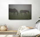 Photograph 3 by Nancy Crowell on GIANT ART - grey animals