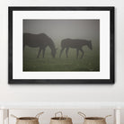 Photograph 3 by Nancy Crowell on GIANT ART - grey animals