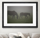 Photograph 3 by Nancy Crowell on GIANT ART - grey animals