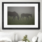 Photograph 3 by Nancy Crowell on GIANT ART - grey animals