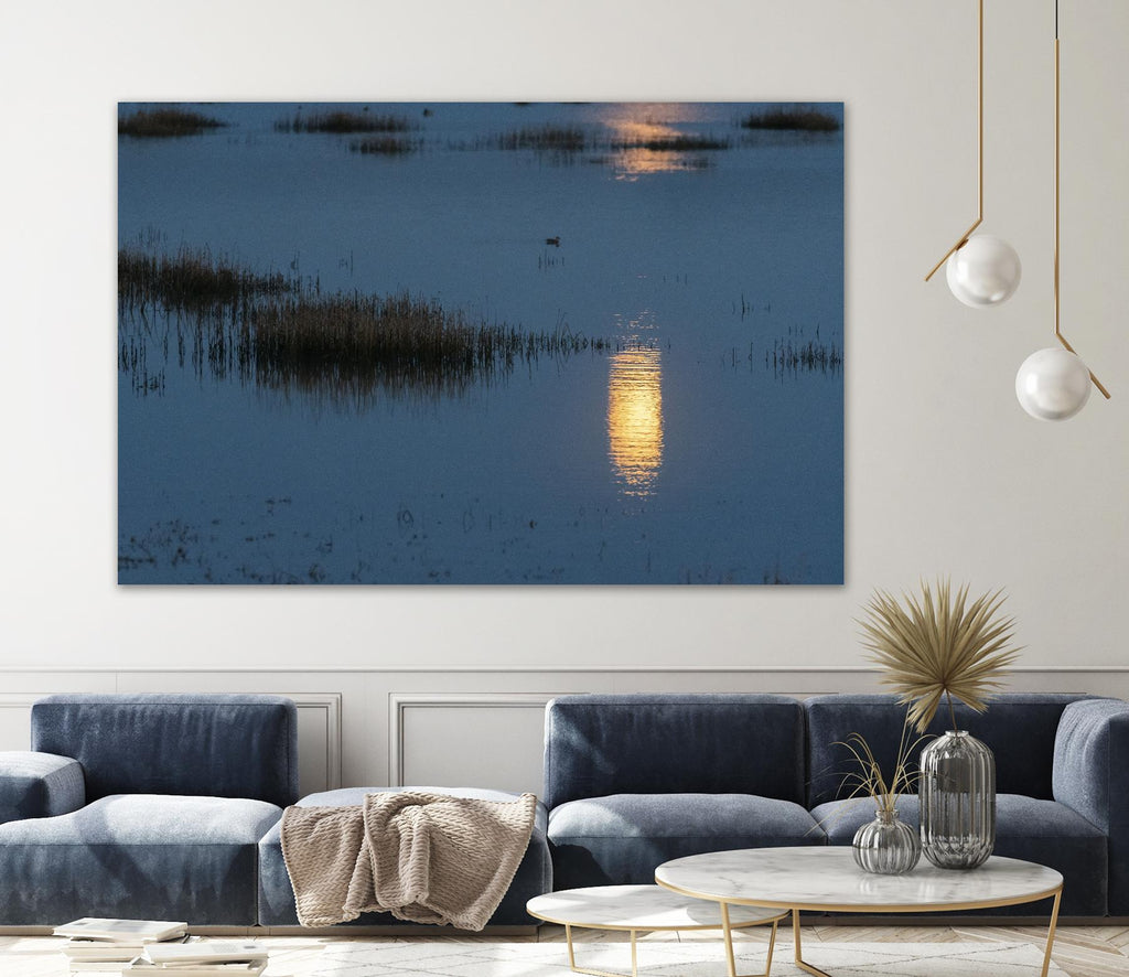 Wetland Moonlight by Nancy Crowell on GIANT ART - scenic