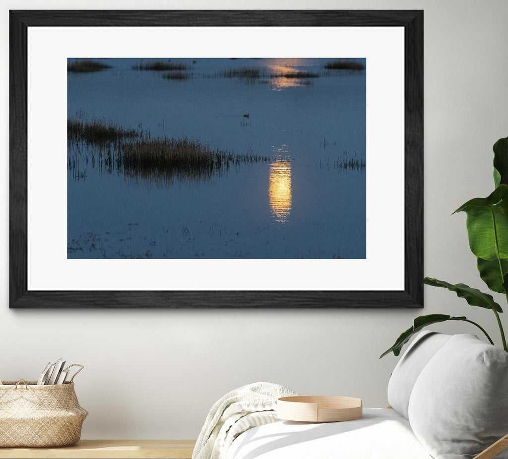 Wetland Moonlight de Nancy Crowell sur GIANT ART - scénique
