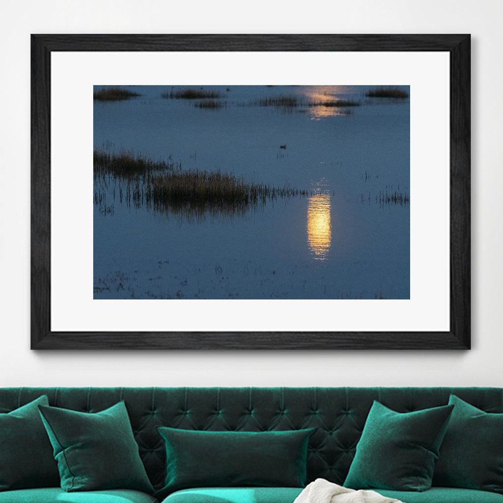 Wetland Moonlight by Nancy Crowell on GIANT ART - scenic