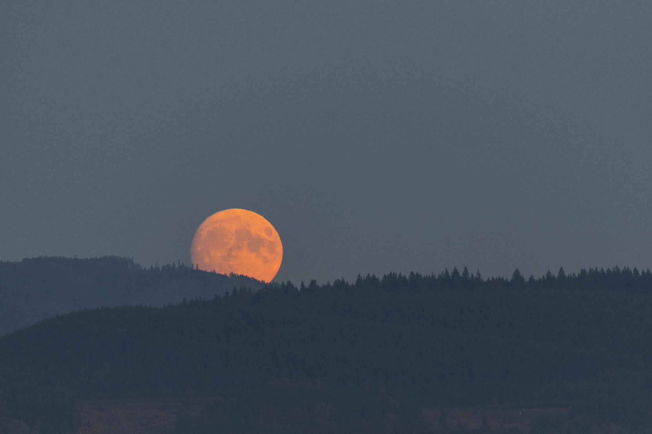 Harvest Moon by Nancy Crowell on GIANT ART - blues scenic