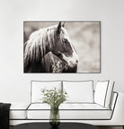 Wild Paint by Erle KaCee on GIANT ART - white animals