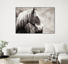 Wild Paint by Erle KaCee on GIANT ART - white animals