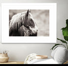 Wild Paint by Erle KaCee on GIANT ART - white animals