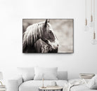 Wild Paint by Erle KaCee on GIANT ART - white animals