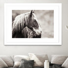 Wild Paint by Erle KaCee on GIANT ART - white animals