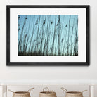 Whispers by Lori Prenner on GIANT ART - beige photo art