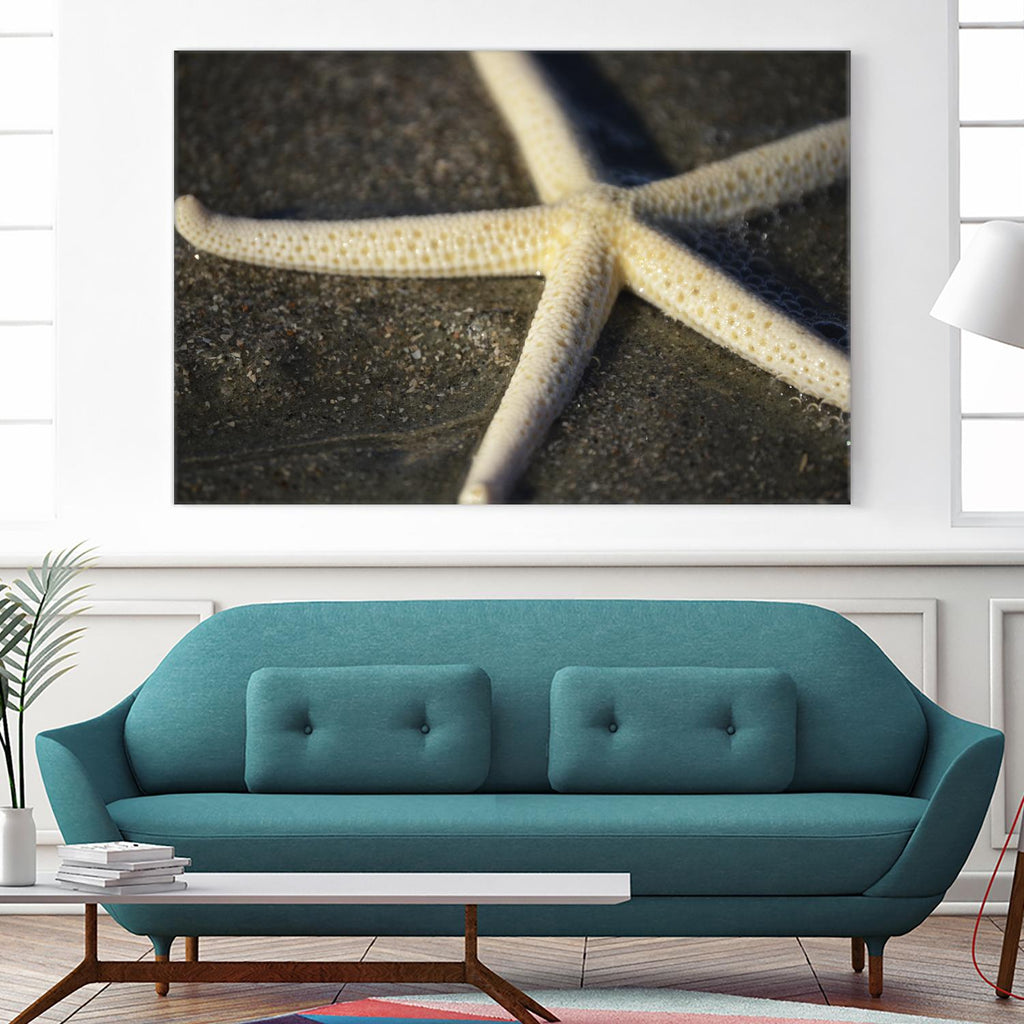 Starfish by Lori Prenner on GIANT ART - brown nautical