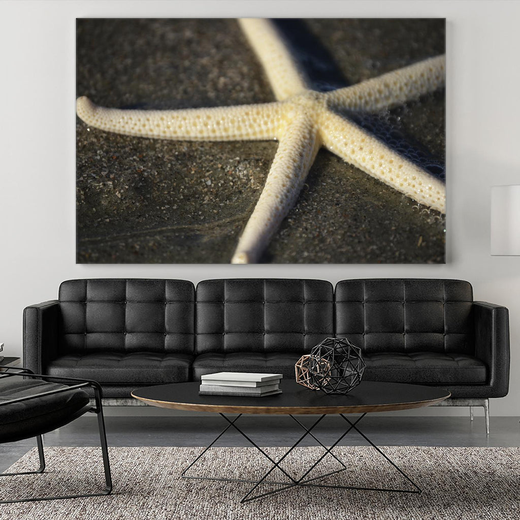 Starfish by Lori Prenner on GIANT ART - brown nautical