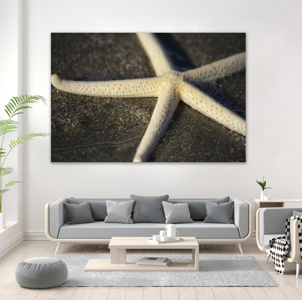 Étoile de mer par Lori Prenner sur GIANT ART - marron nautique