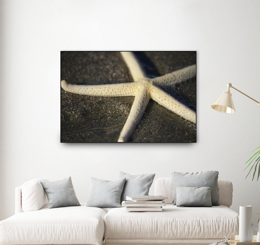 Étoile de mer par Lori Prenner sur GIANT ART - marron nautique