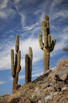 Photograph 9 by Aaron Matheson on GIANT ART - green landscape