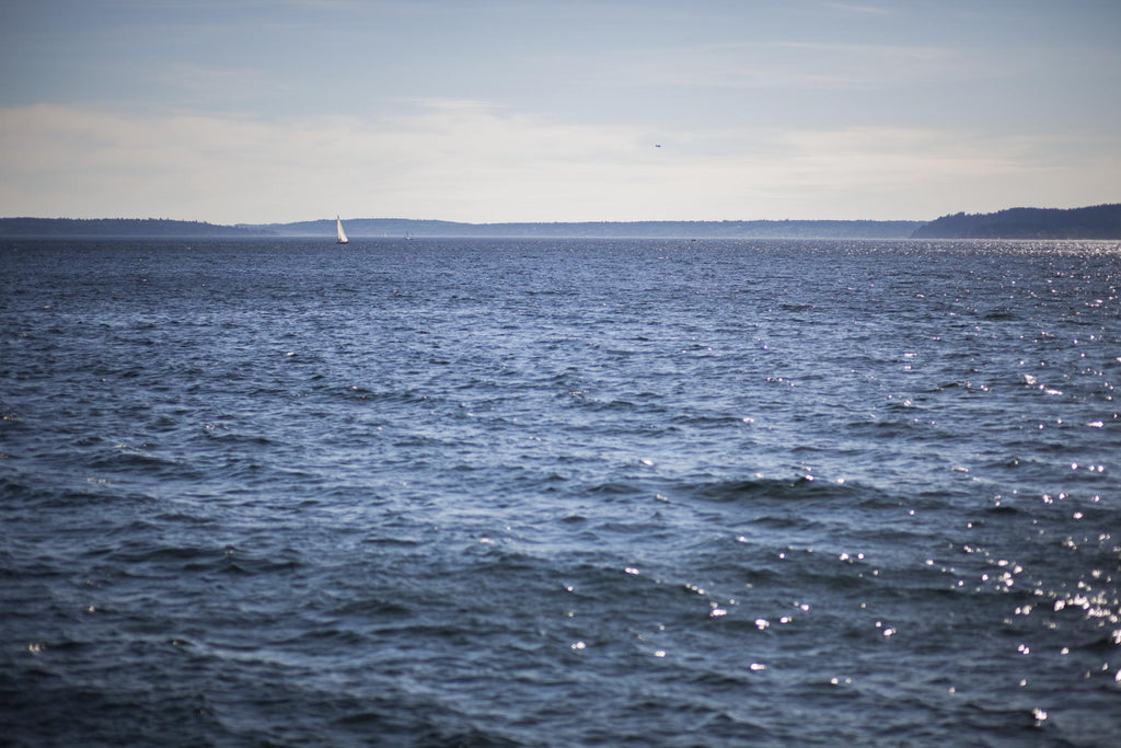 Lone Sailer by Aaron Matheson on GIANT ART - beige sea scene