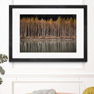 Golden Visions by Aaron Matheson on GIANT ART - grey landscape