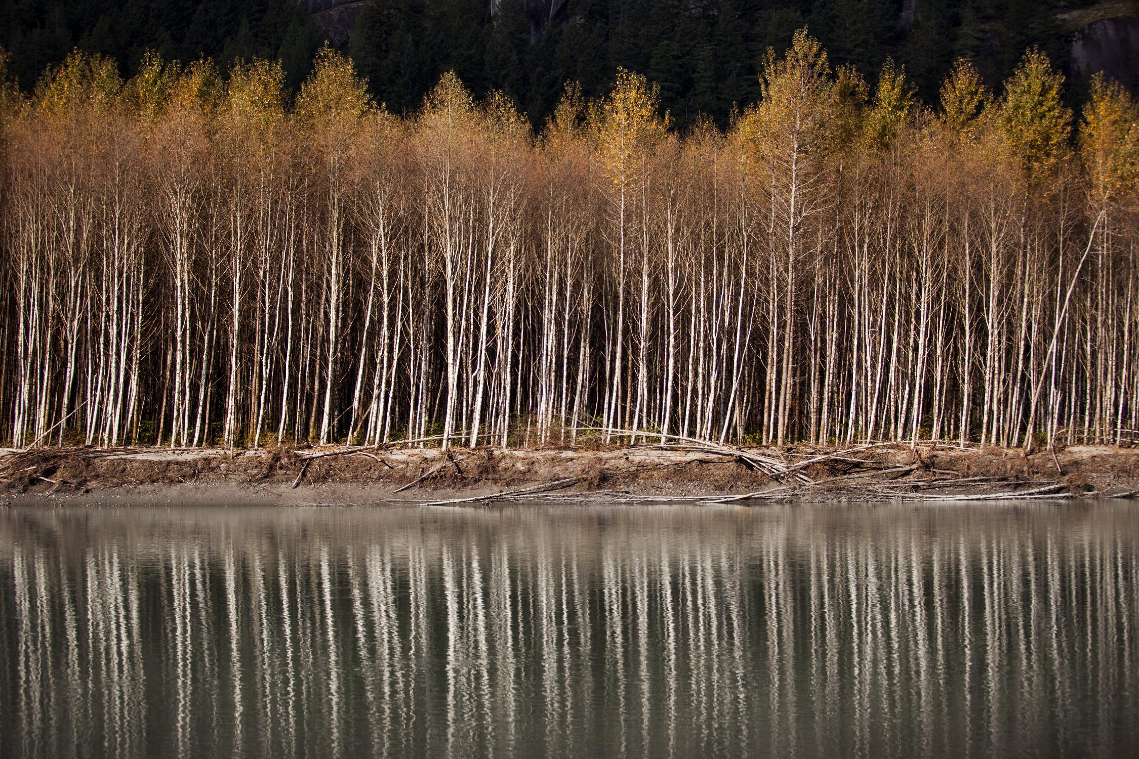 Golden Visions by Aaron Matheson on GIANT ART - grey landscape