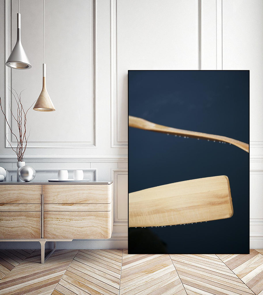 Paddles II by Melissa McClain on GIANT ART - beige photo art