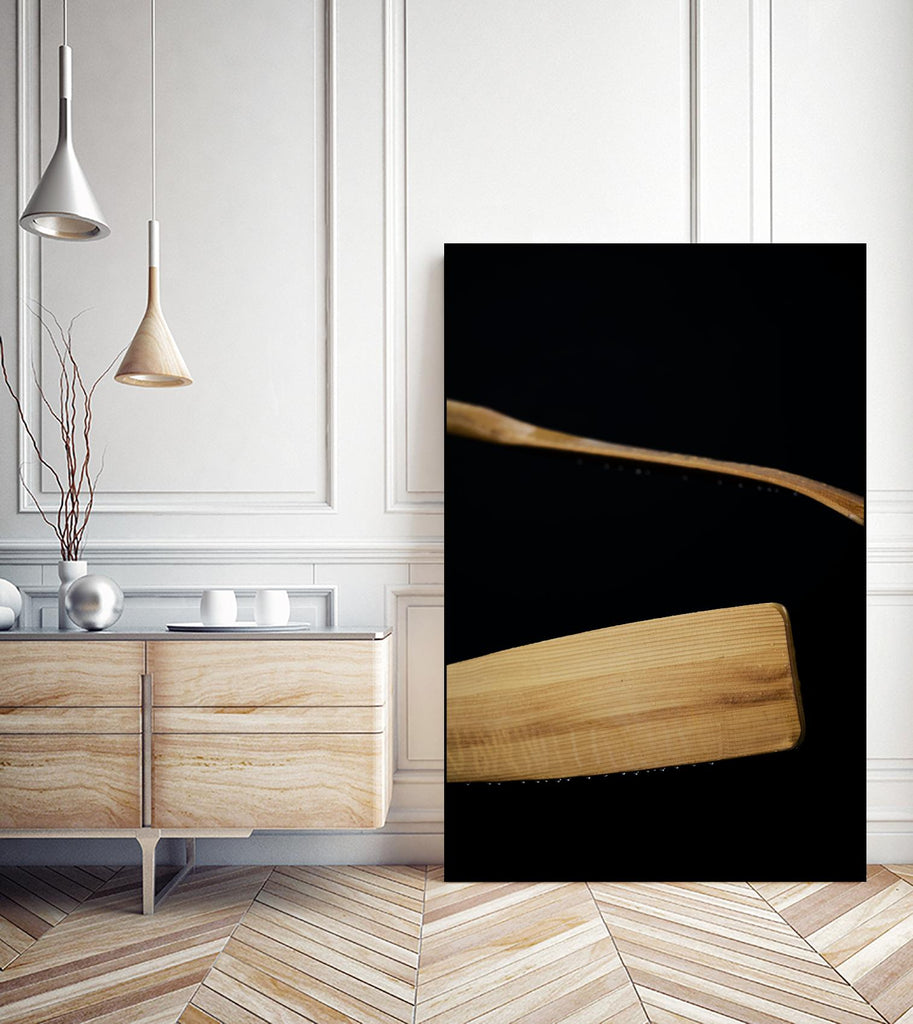 Paddles III by Melissa McClain on GIANT ART - beige photo art