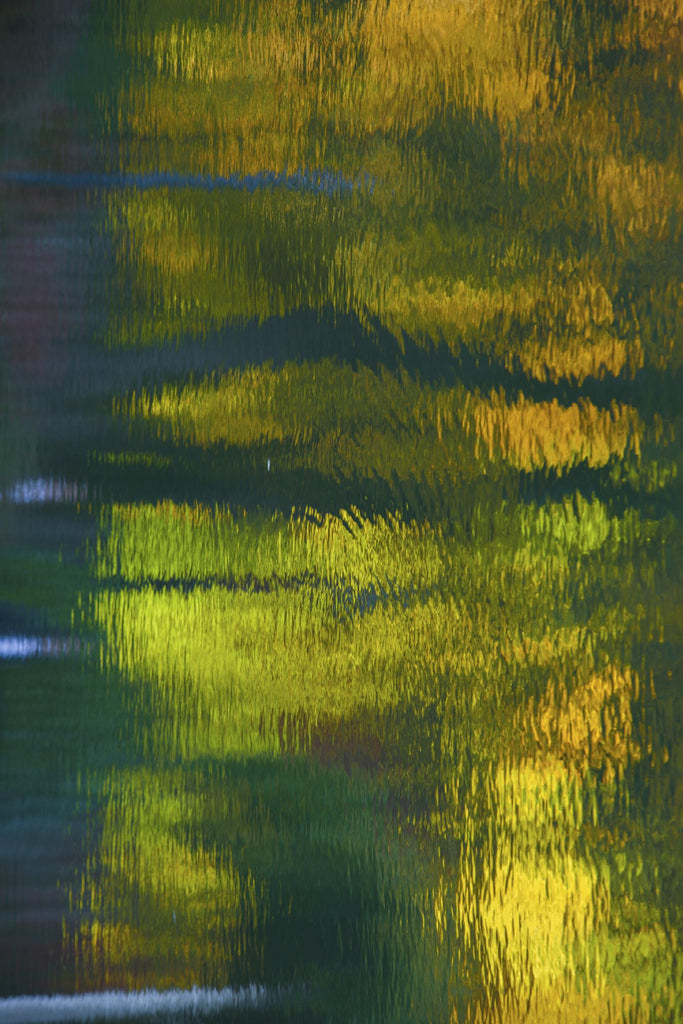 Afternoon Pond de Melissa McClain sur GIANT ART - abstrait jaune