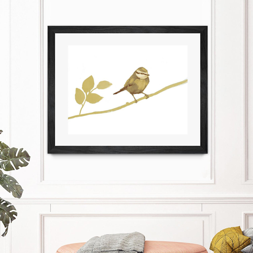 Feathered Friends I V2 by Stacey D'Aguiar on GIANT ART - yellows birds