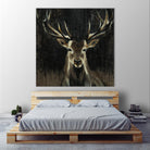 Young Buck by Liz Jardine on GIANT ART - black animals