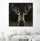 Young Buck by Liz Jardine on GIANT ART - black animals