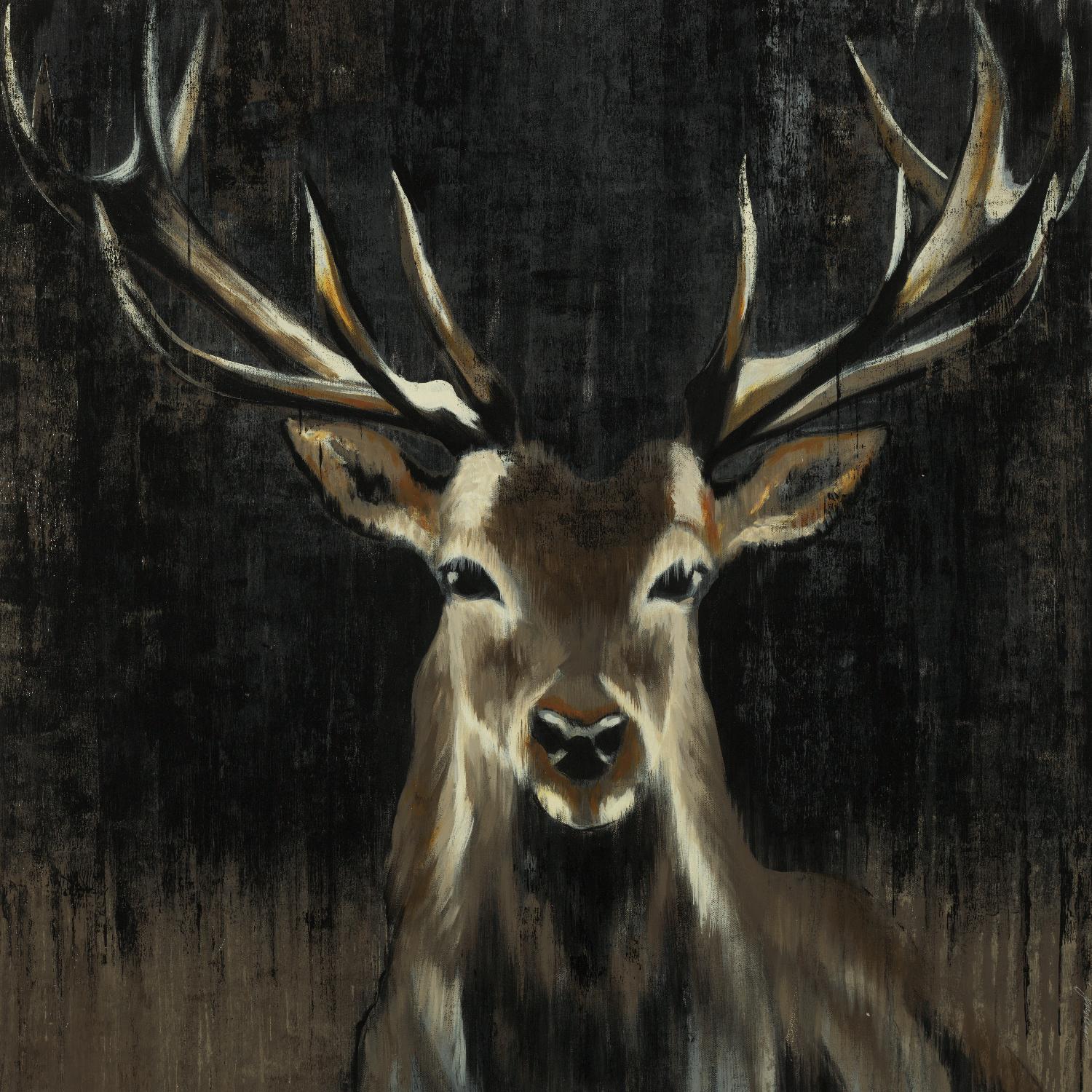 Young Buck par Liz Jardine sur GIANT ART - animaux noirs