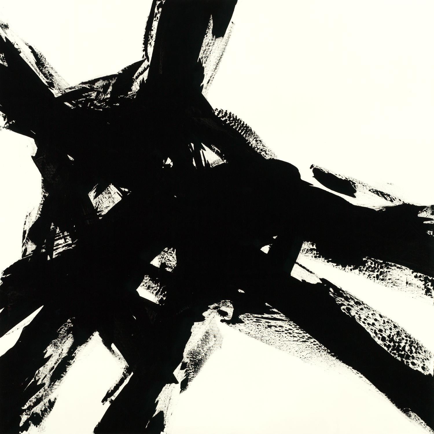 Shadow Complex de Jeff Iorillo sur GIANT ART - noir abstrait noir