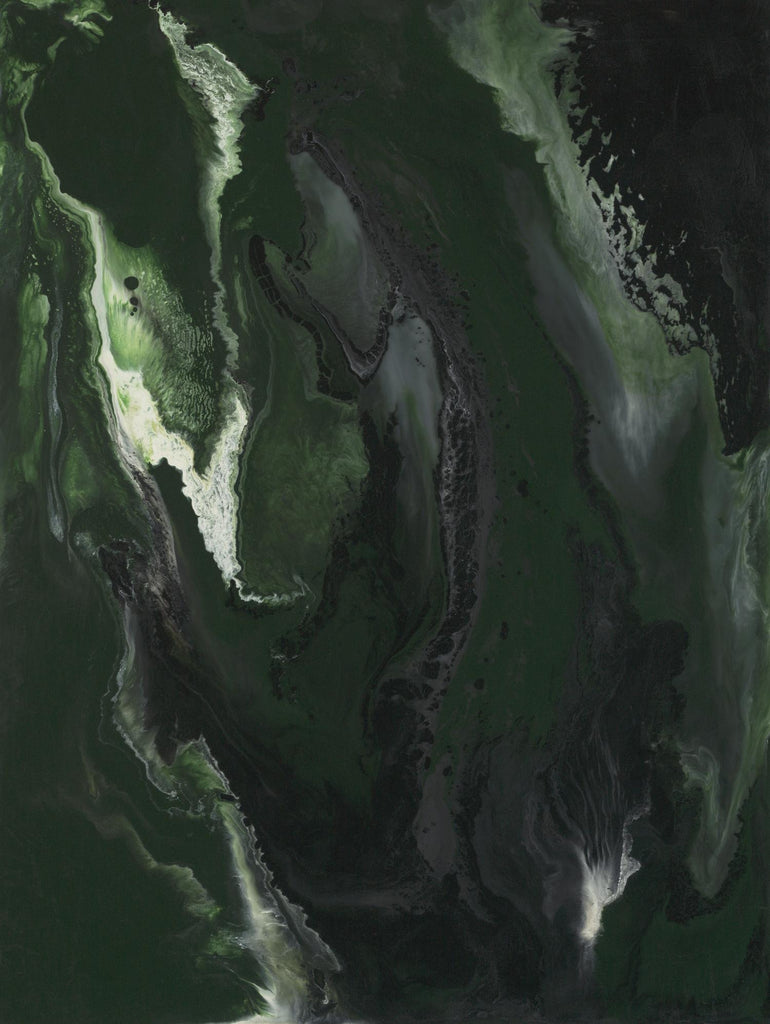Silence Apart par Corrie LaVelle sur GIANT ART - abstractions fluides vertes