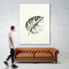 Black & White Palm I by Patti Mann on GIANT ART - grey botany