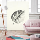 Black & White Palm I by Patti Mann on GIANT ART - grey botany