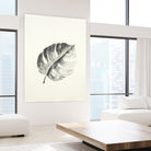 Black & White Palm I by Patti Mann on GIANT ART - grey botany