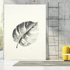 Black & White Palm I by Patti Mann on GIANT ART - grey botany