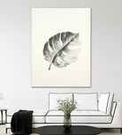 Black & White Palm I by Patti Mann on GIANT ART - grey botany