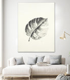 Black & White Palm I by Patti Mann on GIANT ART - grey botany