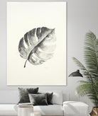 Black & White Palm I by Patti Mann on GIANT ART - grey botany