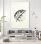 Black & White Palm I by Patti Mann on GIANT ART - grey botany