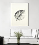 Black & White Palm I by Patti Mann on GIANT ART - grey botany