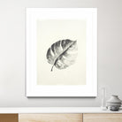 Black & White Palm I by Patti Mann on GIANT ART - grey botany