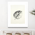 Black & White Palm I by Patti Mann on GIANT ART - grey botany