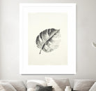 Black & White Palm I by Patti Mann on GIANT ART - grey botany