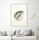 Black & White Palm I by Patti Mann on GIANT ART - grey botany