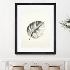 Black & White Palm I by Patti Mann on GIANT ART - grey botany