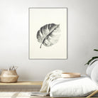 Black & White Palm I by Patti Mann on GIANT ART - grey botany