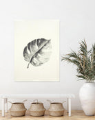 Black & White Palm I by Patti Mann on GIANT ART - grey botany