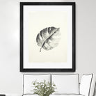 Black & White Palm I by Patti Mann on GIANT ART - grey botany