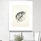 Black & White Palm I by Patti Mann on GIANT ART - grey botany