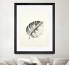 Black & White Palm I by Patti Mann on GIANT ART - grey botany